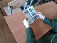 IMG_20200311_141853